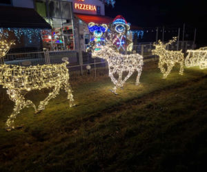 Magia Świąt w Świętokrzyskiem. Gdzie szukać najpiękniej oświetlonych domów? Rzepin i Pawłów skradły show!