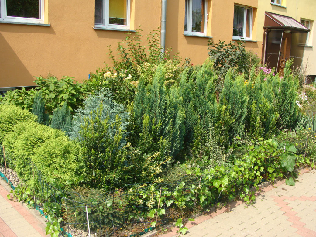 Najpiękniejsze balkony w Starachowicach