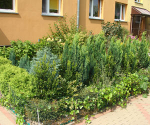Najpiękniejsze balkony w Starachowicach