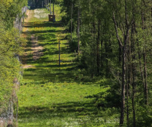 Tak wygląda granica z Rosją