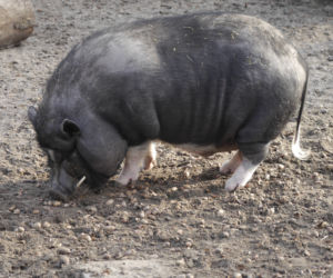 Zwierzęta w białostockim ZOO budzą się na wiosnę