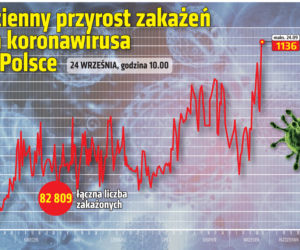 Koronawirus w Polsce. Statystyki, wykresy, grafiki (24 września)