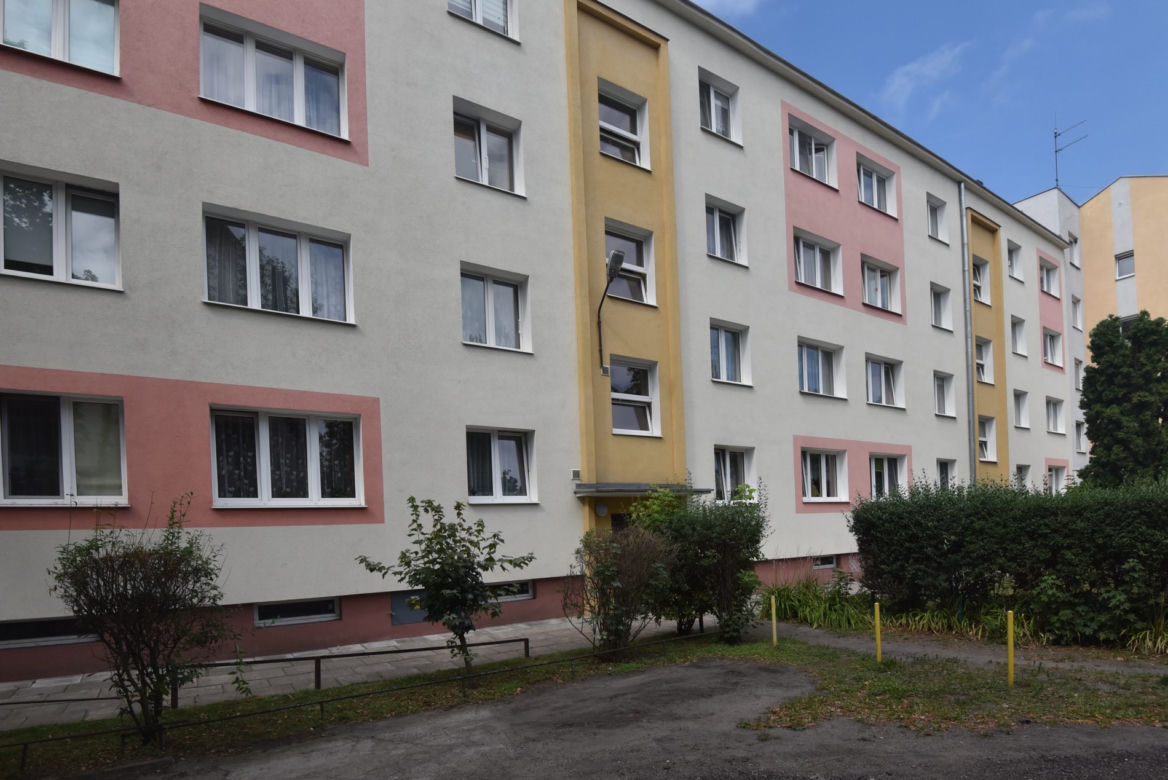 Zatłukł Nikosia gołymi pięściami