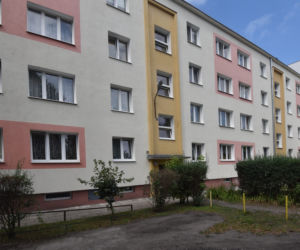 Zatłukł Nikosia gołymi pięściami