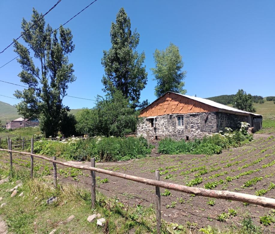 Wioska w Gruzji