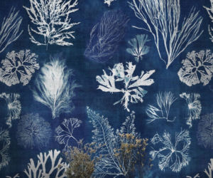 Classic Blue – inspiracje z kolorem roku 2020