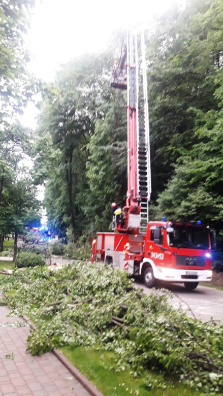 Huraganowy wiatr złamał lipę, jak zapałkę. Drzewo spadło na samochód Ukraińców