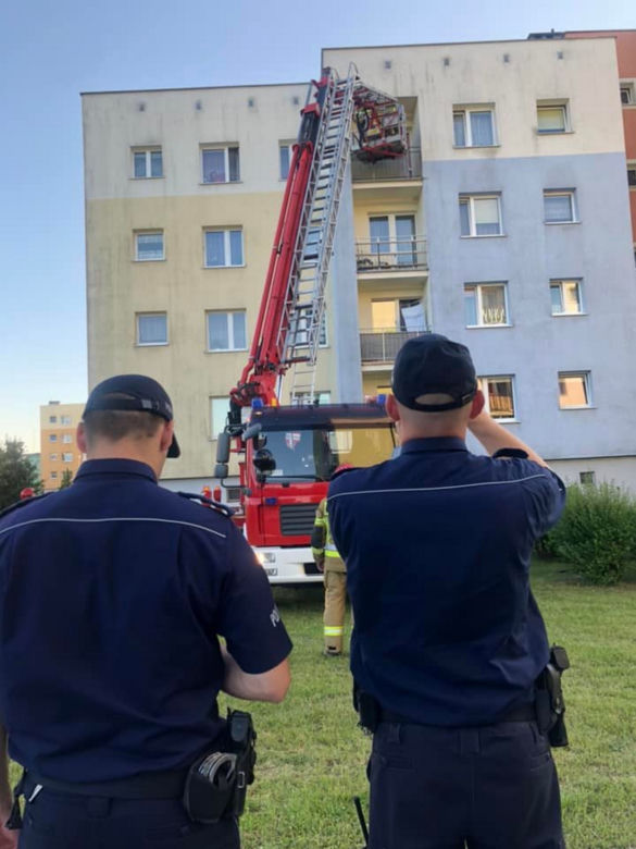 Pies konał w upale na balkonie. Dwa dni bez wody i jedzenia. Koszmar w Bytowie