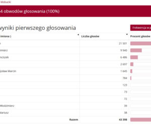 Wybory prezydenckie 2020 w woj. śląskim. W Katowicach i Sosnowcu wygrał Rafał Trzaskowski [WYNIKI W MIASTACH I POWIATACH]