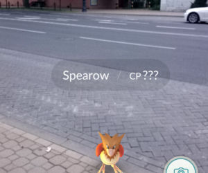 Pokemony opanowały Lublin