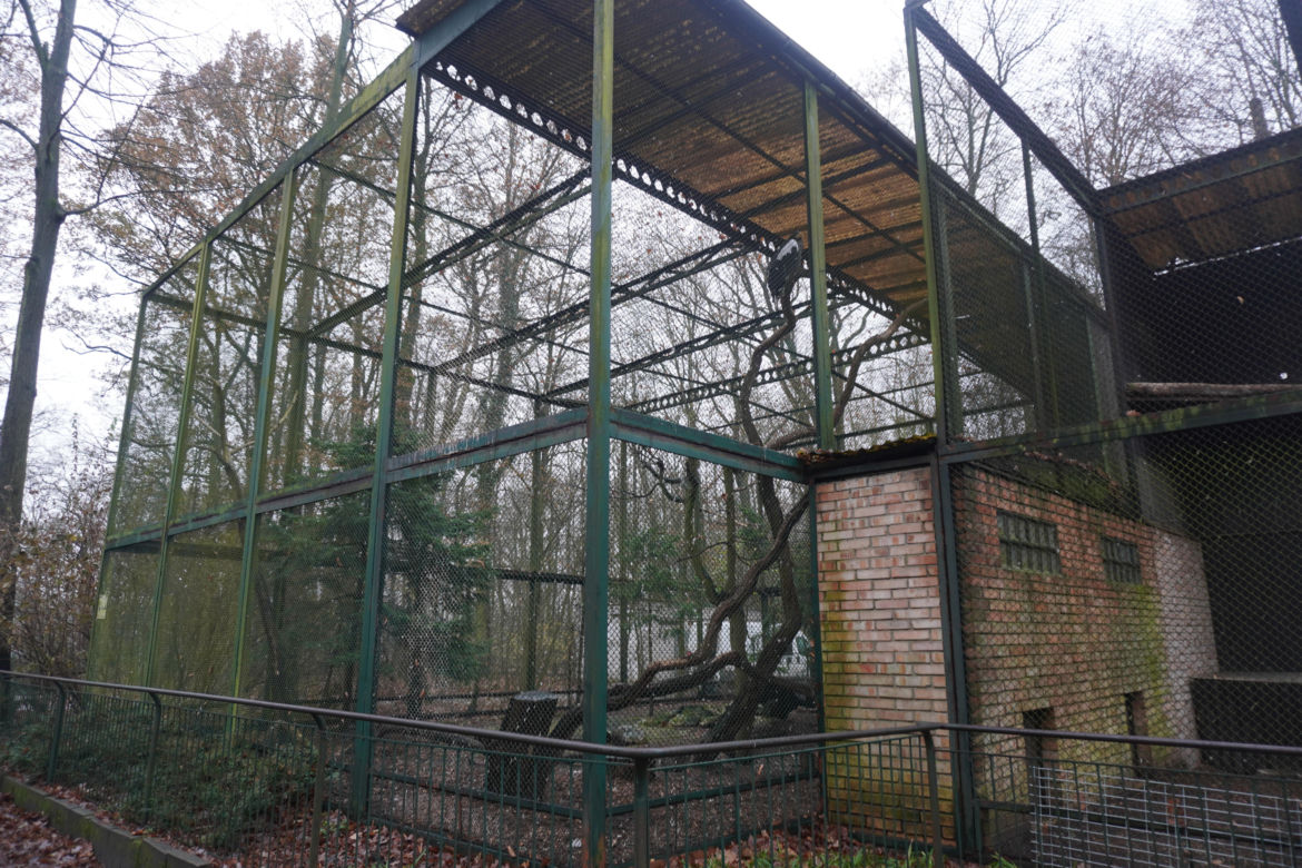 Zoo w Poznaniu zimą