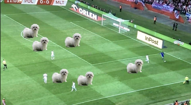 MEMY po meczu Polska Malta