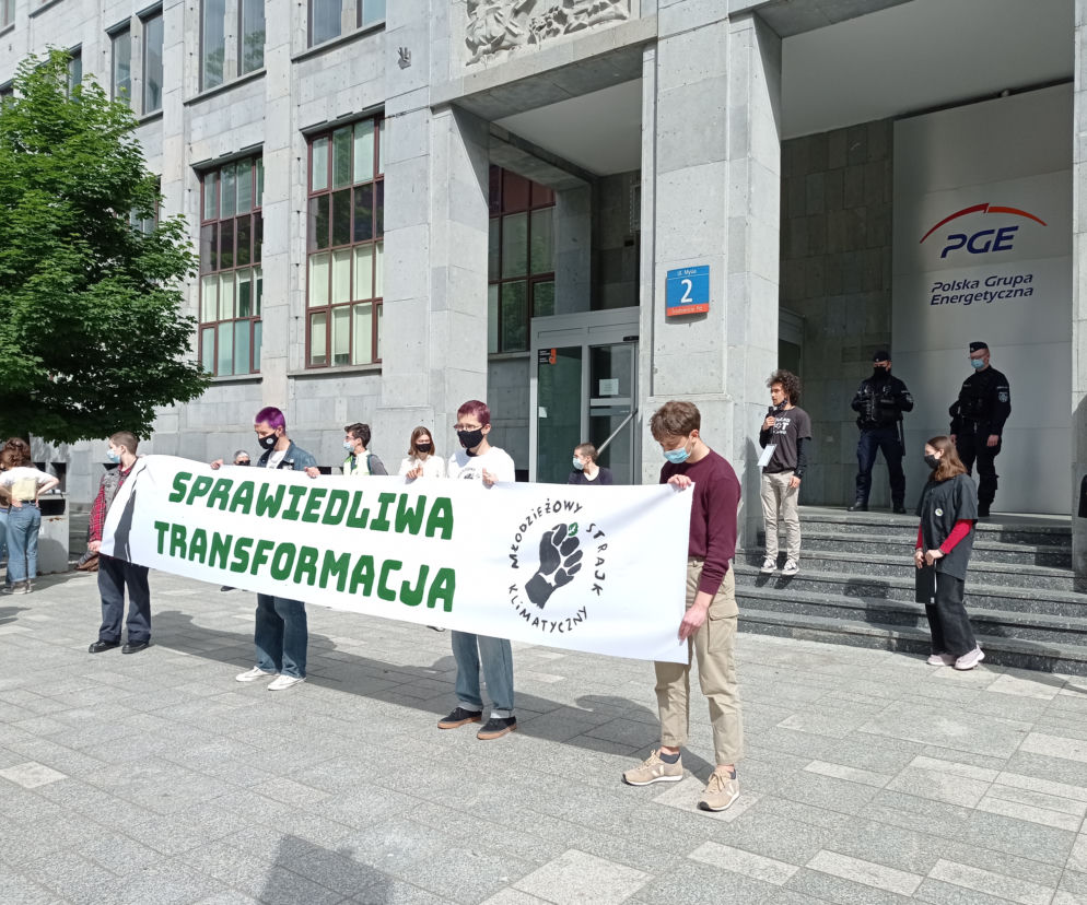 Protest Młodzieżowego Strajku Klimatycznego