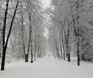 Białystok pokryty śniegiem. Piękne zdjęcia internautki Ewy