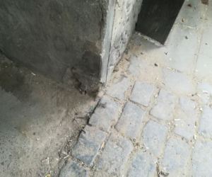 Stara Praga znika na naszych oczach: Kradną nawet całe balkony! 
