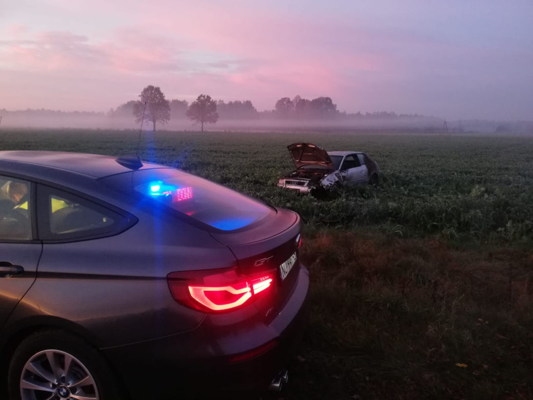 Wypadek z sarnami k. Szczytna