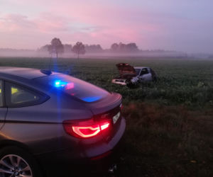 Wypadek z sarnami k. Szczytna
