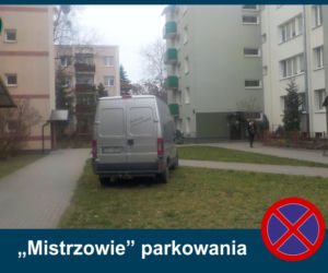 Mistrzowie Parkowania: Zobacz najbardziej kuriozalne pomysły kierowców