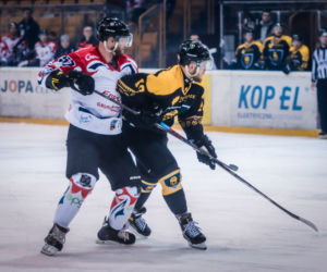 KH Energa Toruń - GKS Katowice, zdjęcia z Tor-Toru