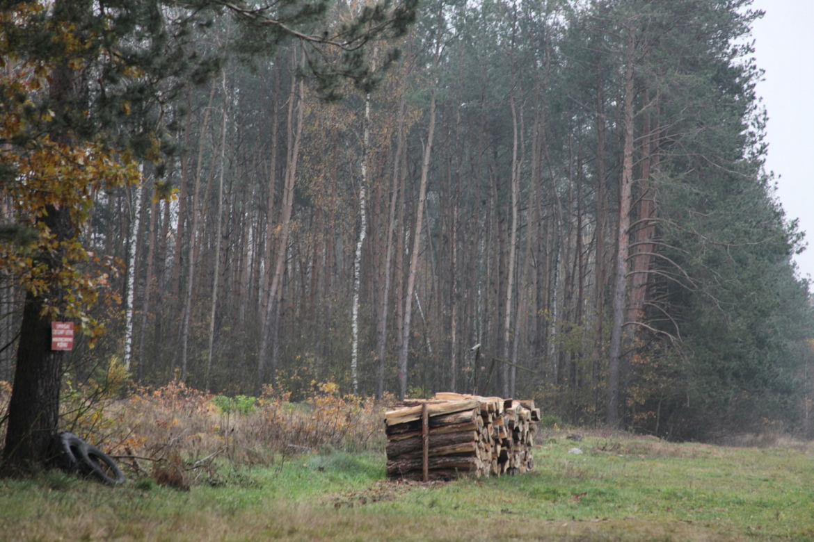 Brutalny koniec męskiej przyjaźni. Myśliwy rozpłatał koledze głowę szpadlem!