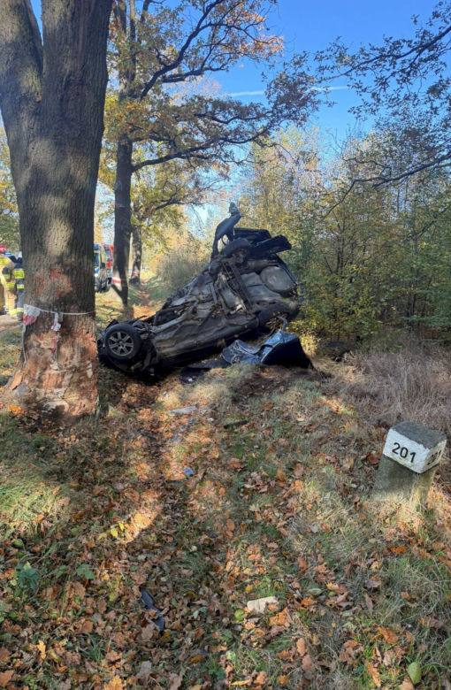 Śmiertelny wypadek pod Polkowicami. Nie żyje kierowca audi [ZDJĘCIA]
