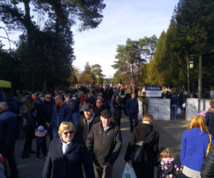 Wszystkich Świętych 2019. Radomianie tłumnie odwiedzili cmentarze [ZDJĘCIA]