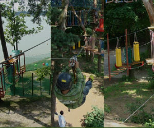 Park linowy nad Zalwem