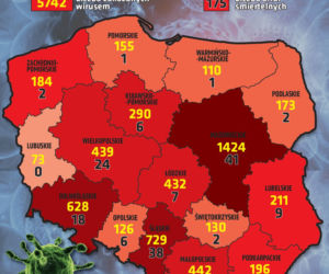 Koronawirus w Polsce. Najnowsze dane 10.04 godz. 10