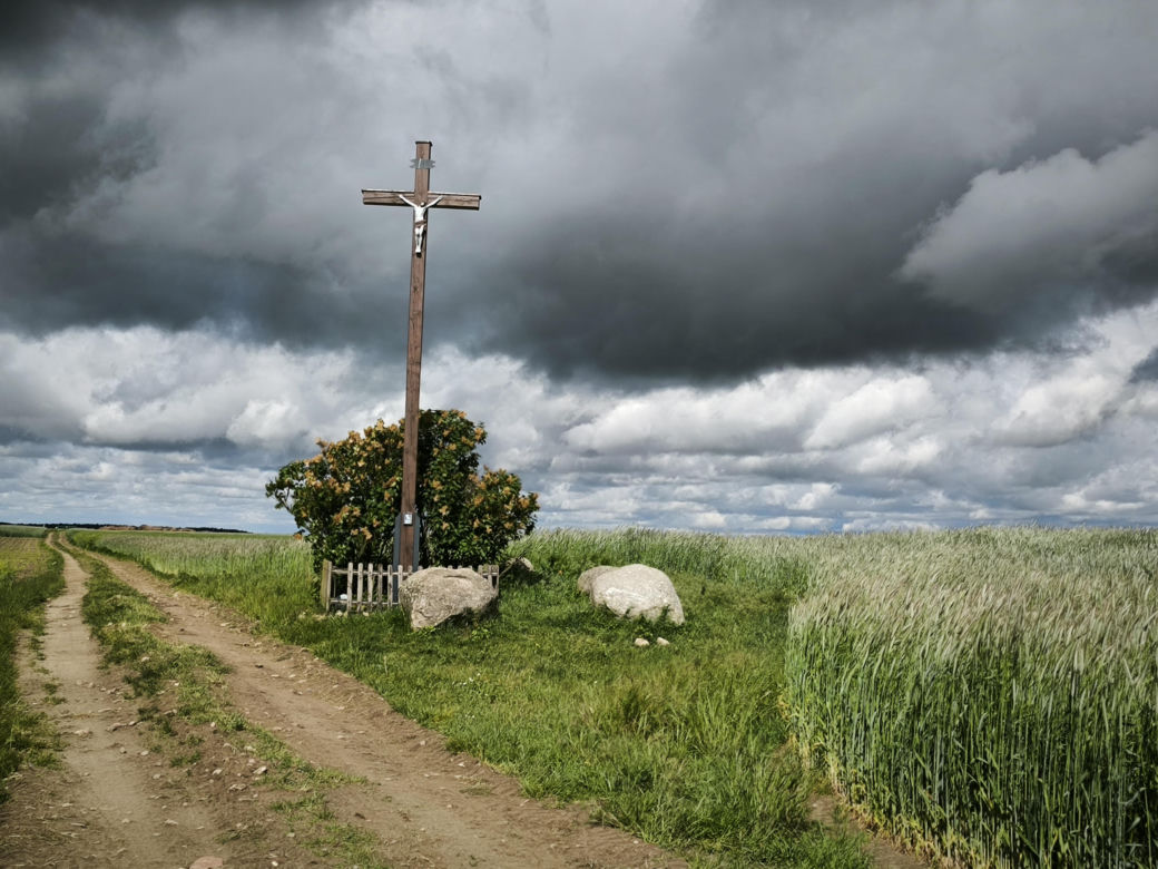 Osieczna