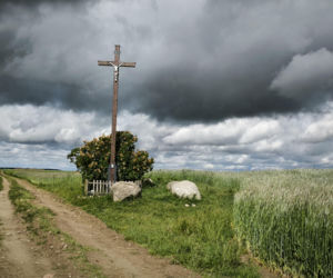 Osieczna
