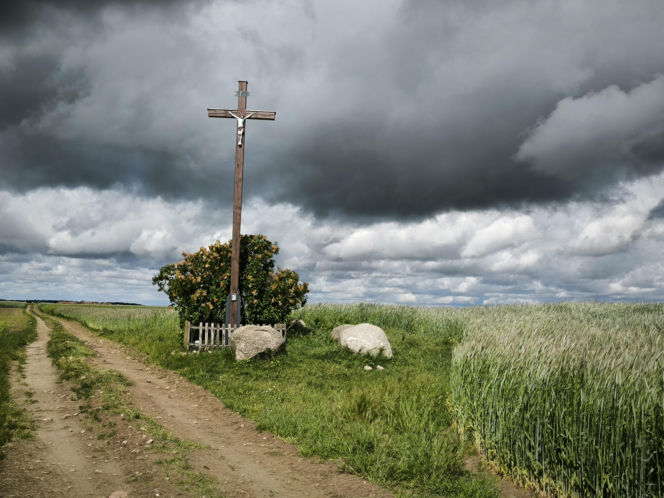 Osieczna