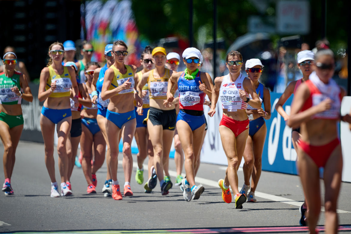 Katarzyna Zdziebło