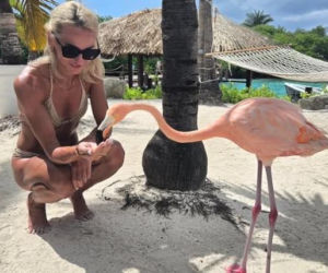 Justyna Święty-Ersetic