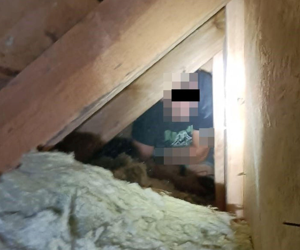 Mężczyzna ukryty na strychu pod wełną mineralną obok drewnianych belek. O zatrzymaniu 29-latka przeczytasz na SE Lublin.