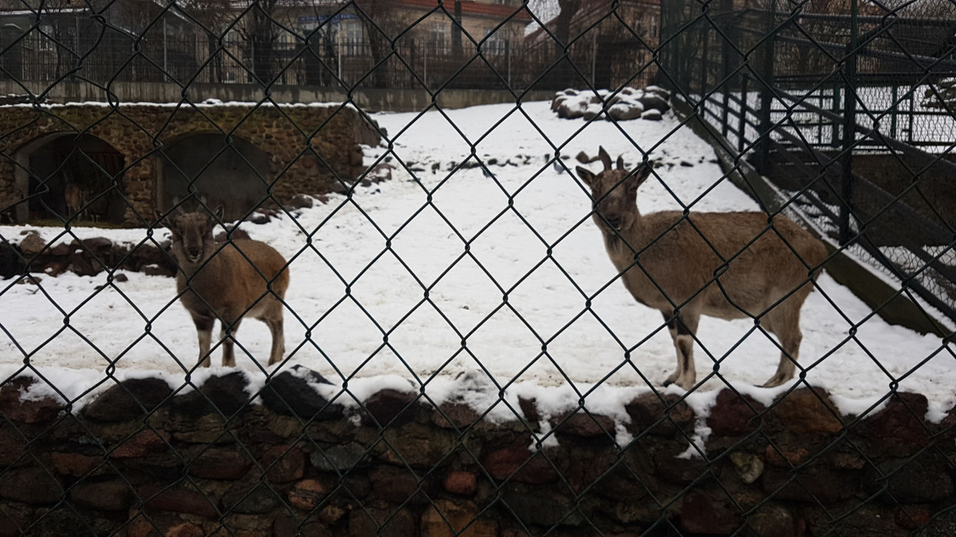 ZOO Toruń zaprasza!