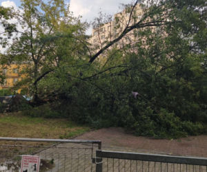 Burza uderzyła w Warszawę. Wiatr wyrywał ogromne drzewa 
