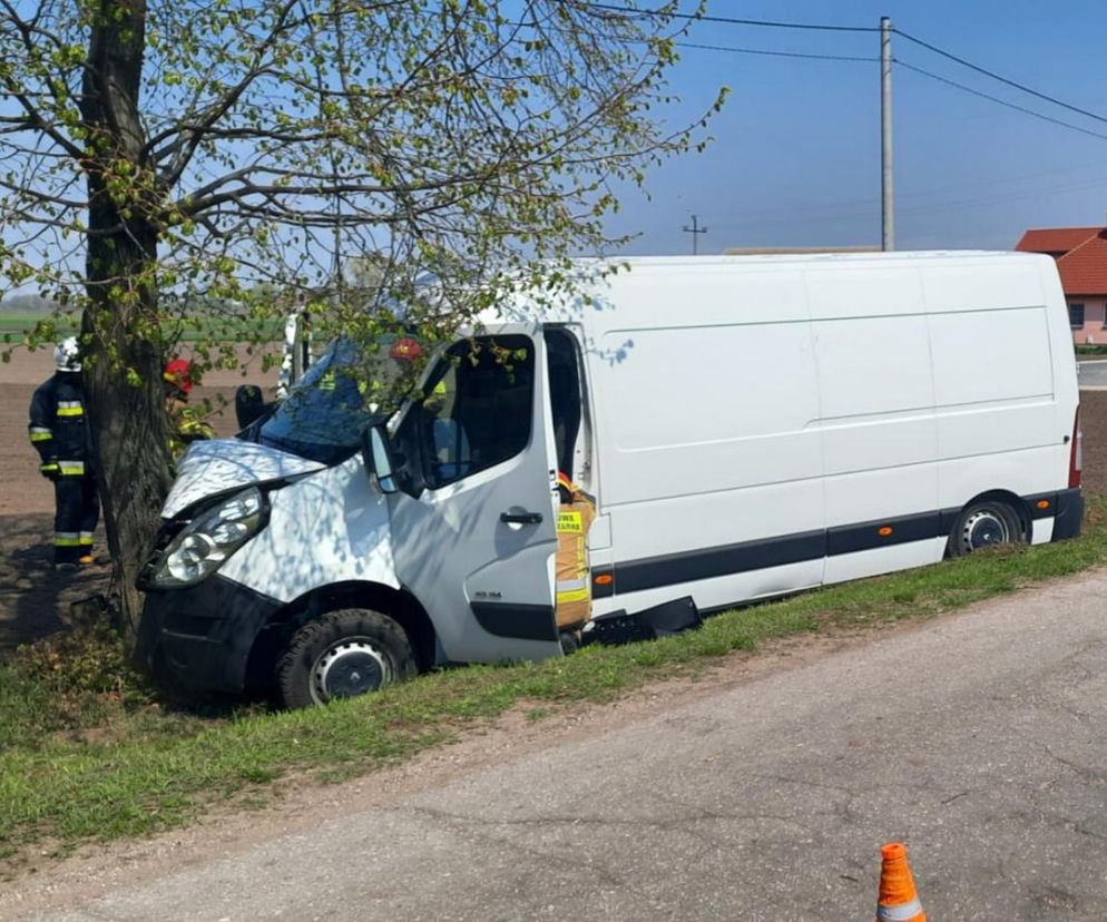 Kujawsko-pomorskie: Chciał ominąć stado dzików i uderzył w drzewo! Trafił do szpitala [ZDJĘCIA] 