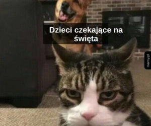 Święta Bożego Narodzenia. Te MEMY przed świętami rozbawią Was do łez! [MEMY]