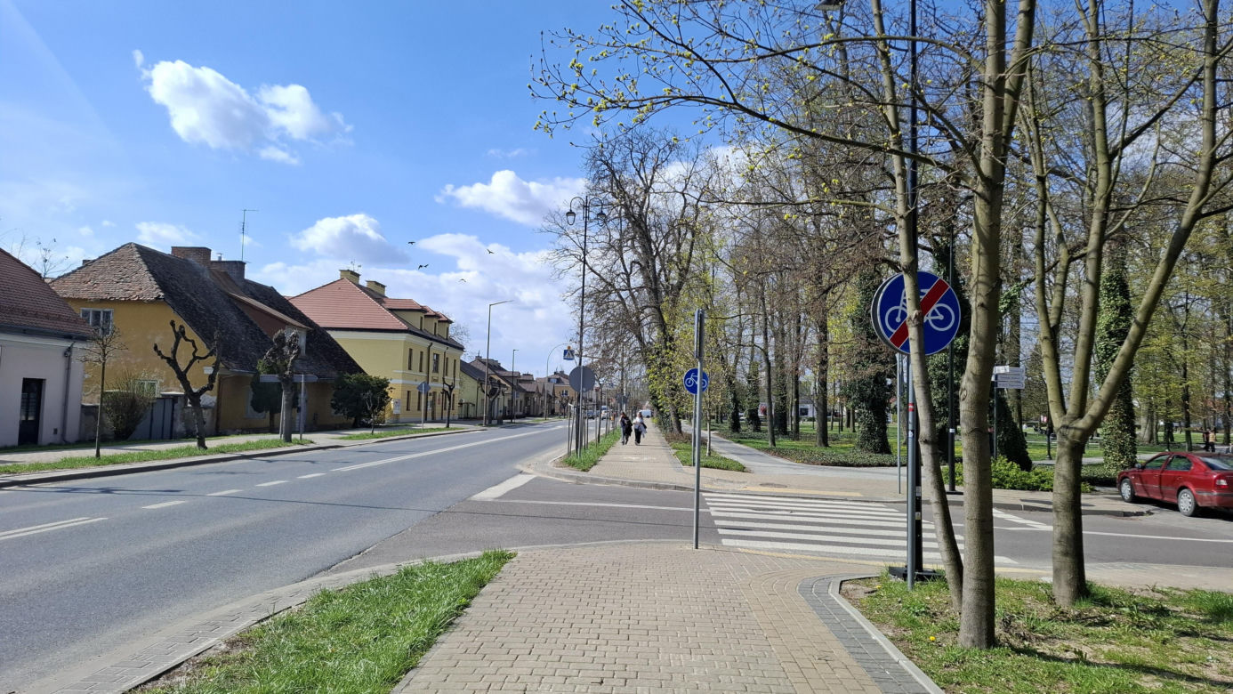 Spacer po Janowie Lubelskim 2025
