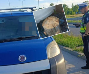 Szok! 18-latek przewoził Fiatem pasażera siedzącego na pniu drzewa!