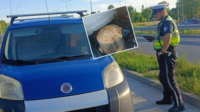 Szok! 18-latek przewoził Fiatem pasażera siedzącego na pniu drzewa!