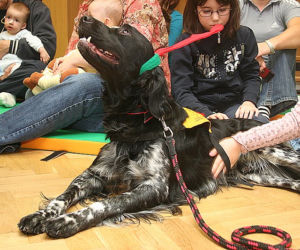 Dogoterapia