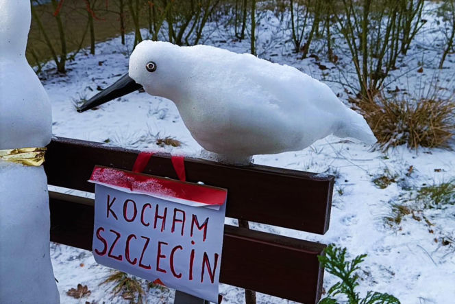 Rzeźby ze śniegu na pętli Głębokie