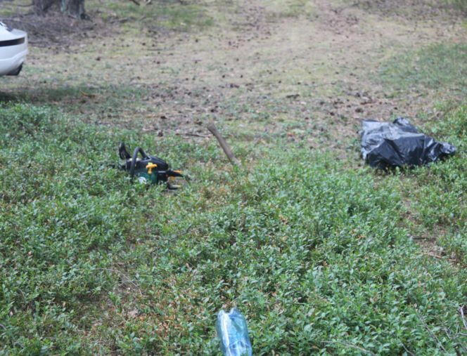 Tragedia podczas wycinki drzew. Olbrzymi konar zmiażdżył Pawła w lesie