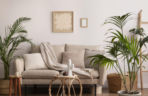 Rośliny w minimalistycznych wnętrzach