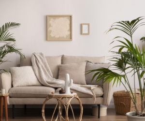 Rośliny w minimalistycznych wnętrzach