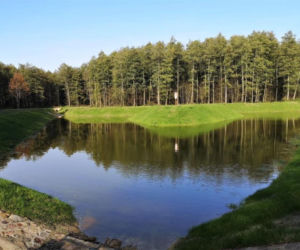 Nowe zbiorniki wodne w podlaskich lasach. Pomogą walczyć ze zmianami klimatu [ZDJĘCIA]