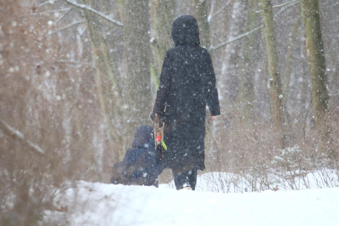 Marta Kaczyńska z synem i psami na sankach w lesie