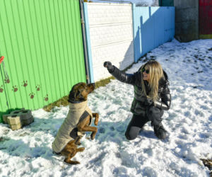 Małgorzata Rozenek-Majdan odwiedziła schronisko w Łodzi