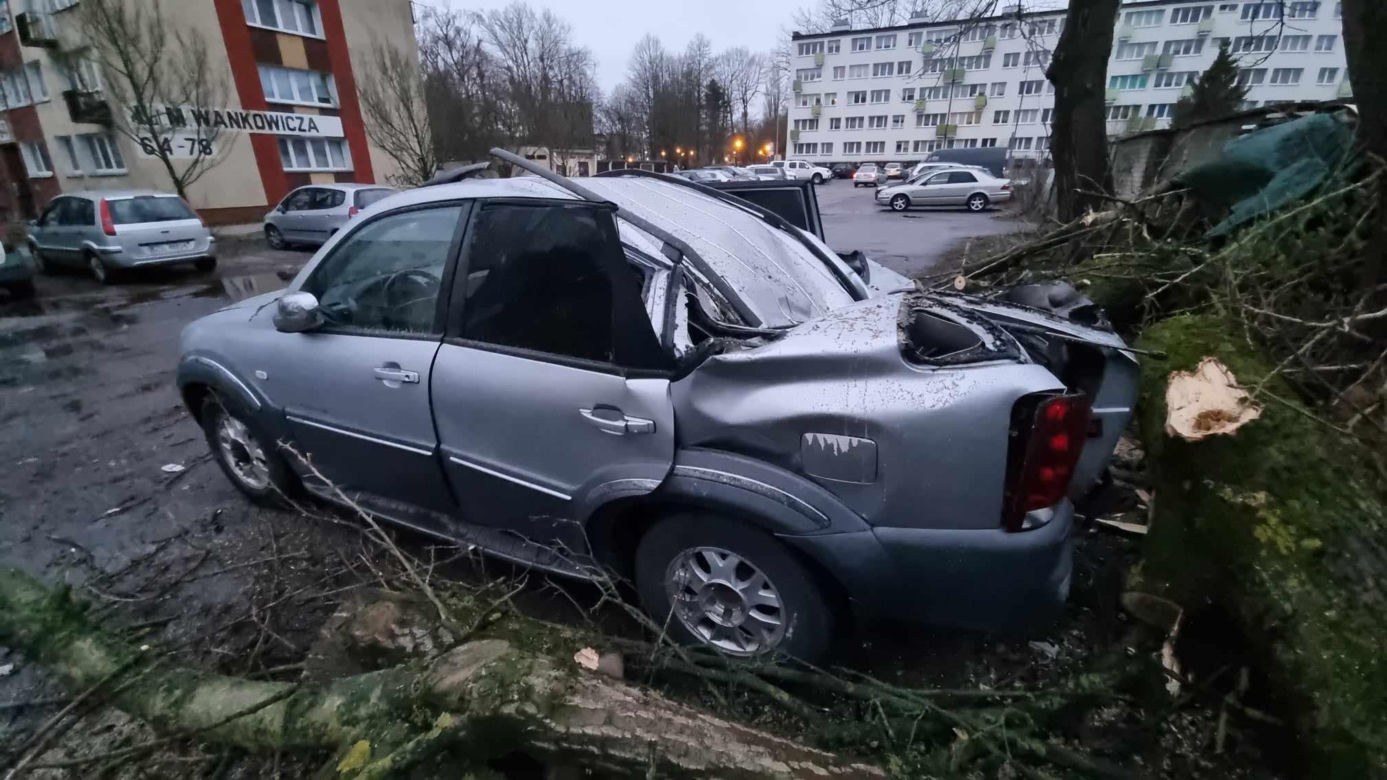 Powalone drzewa uszkodziły zaparkowane samochody